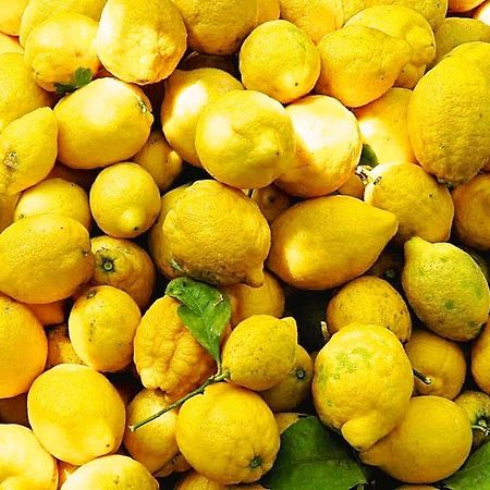 Il Giardino Incantato Monterosso al Mare Kültér fotó
